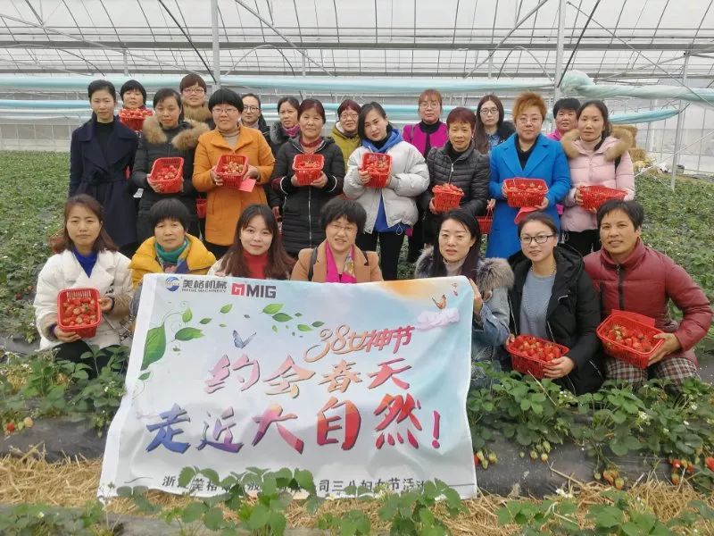 ALLEZ, allons cueillir des fraises ensemble—— Activité 